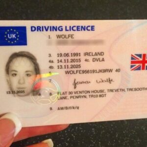 British driving license